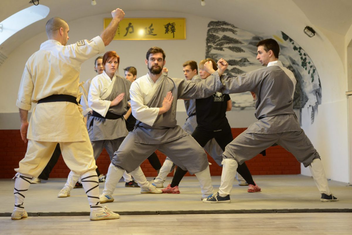 Shaolin Kung Fu Oktatás